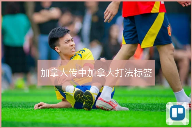 加拿大传中加拿大打法标签