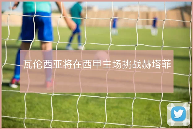 瓦伦西亚将在西甲主场挑战赫塔菲